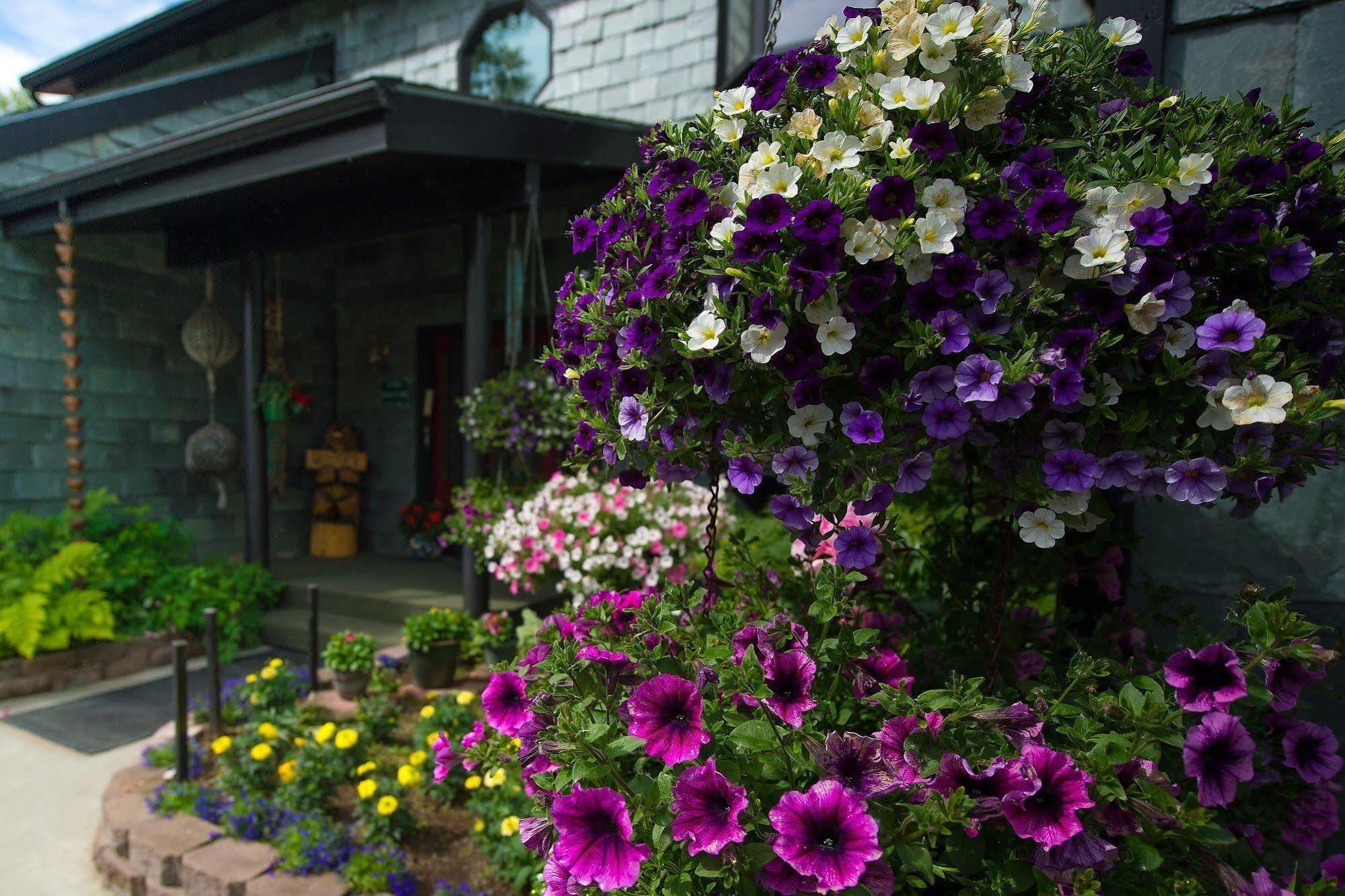 Alaska House Of Jade Bed And Breakfast Анкоридж Екстер'єр фото